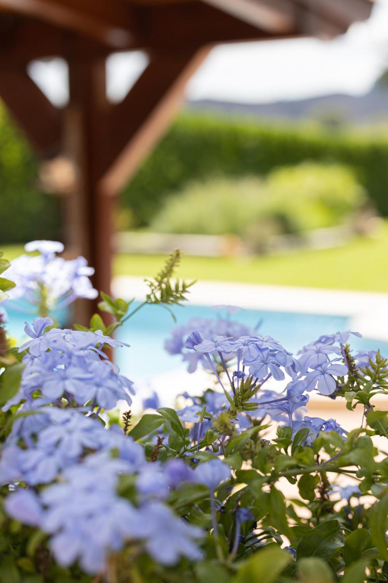 Finca La Marina เดเนีย ภายนอก รูปภาพ
